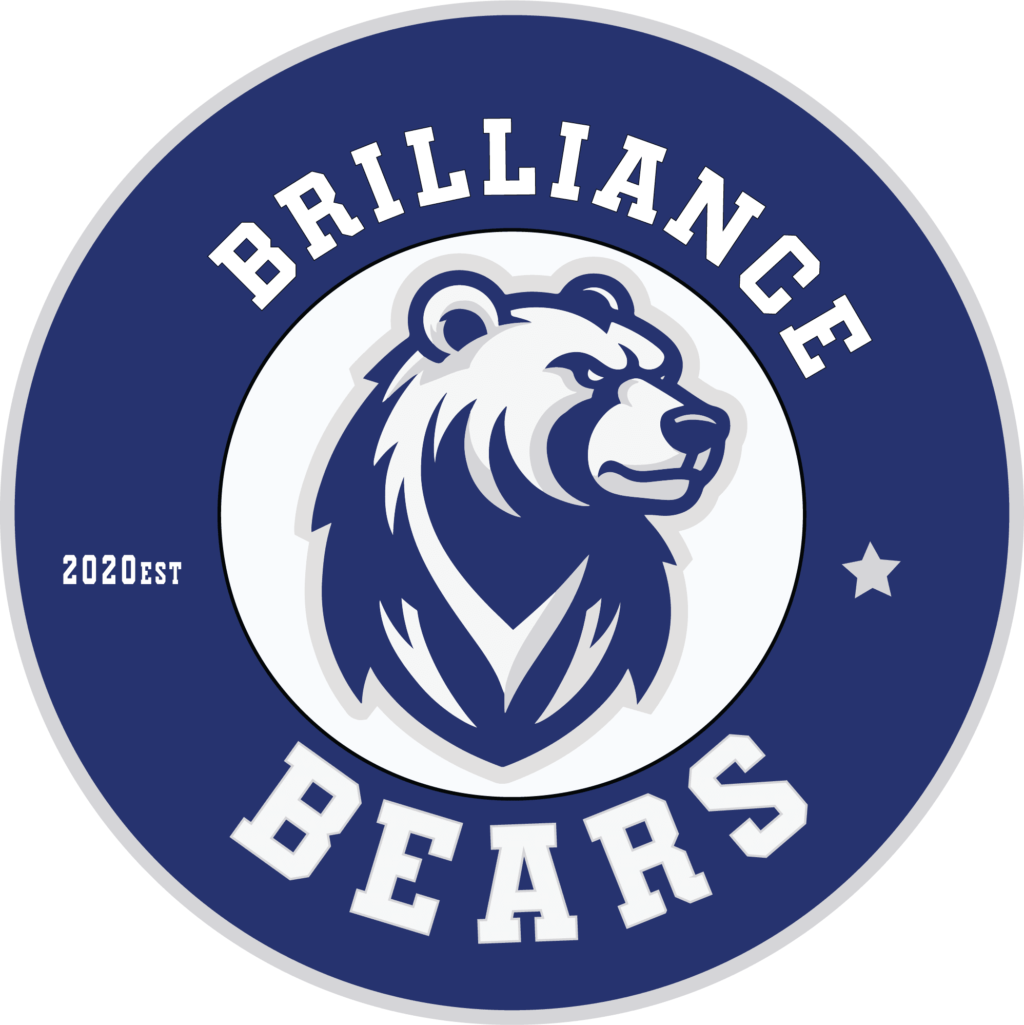 The Brilliance School Logo